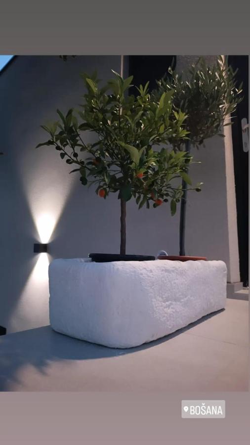 Villa Panama Bosana 외부 사진